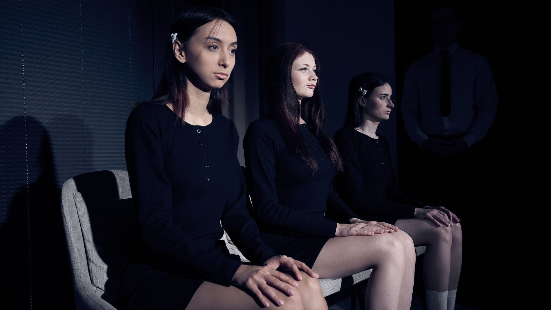 Three Pussies, One Owner