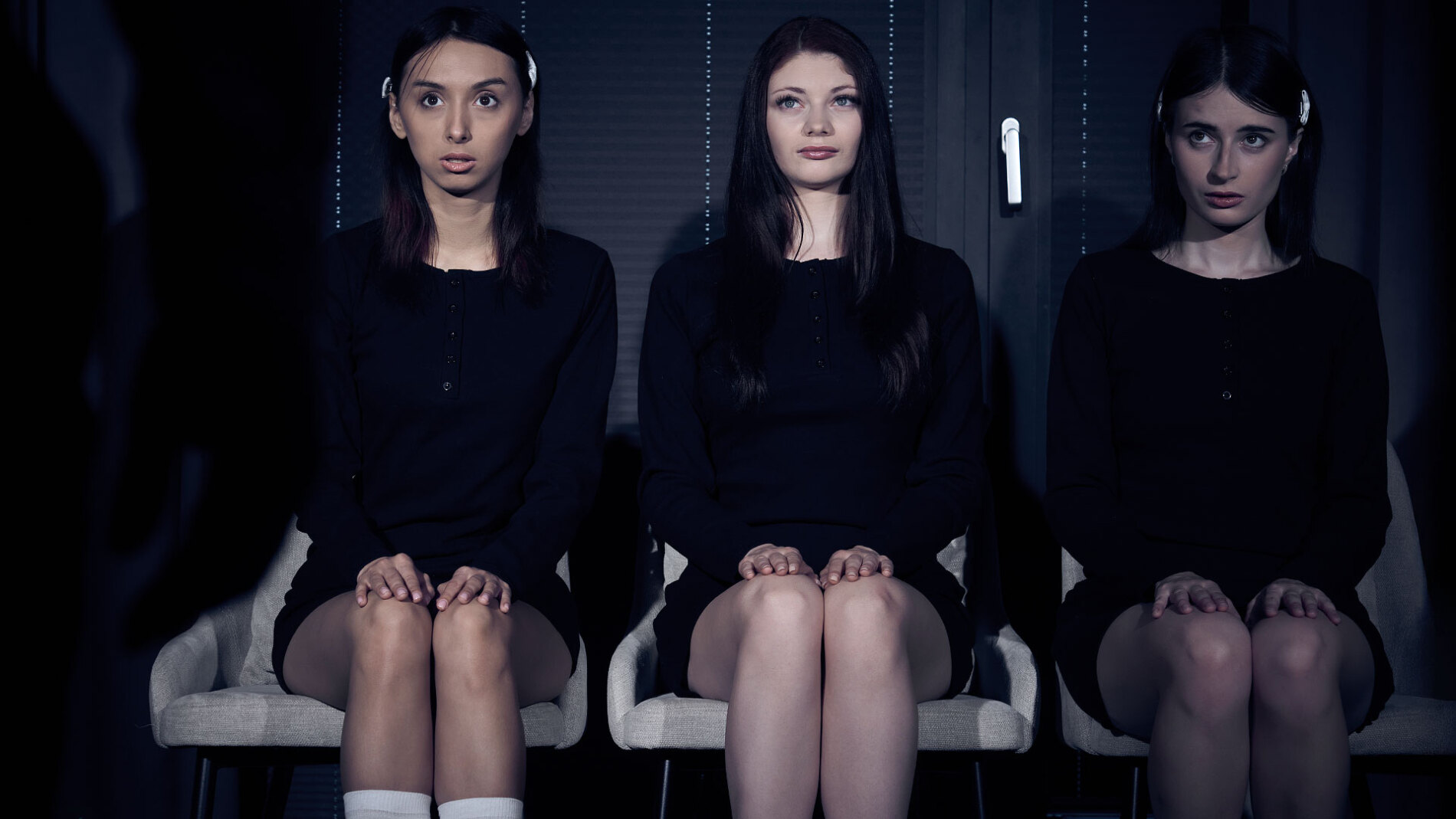 Three Pussies, One Owner